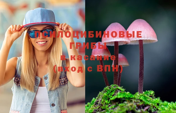 mdpv Каменка
