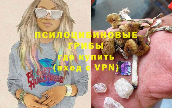 соль курить ск Каменногорск