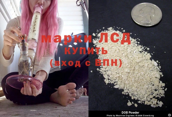 соль курить ск Каменногорск