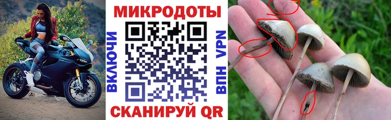 Купить где  Щёлкино  Галлюциногенные грибы ЛСД 